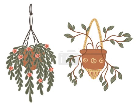 Illustration for Vector illustrations of various indoor hanging and potted plants, perfect for home decor and gardening themes. - Royalty Free Image