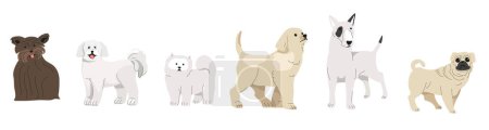 Illustration for A collection of small breed dogs, vector illustration, isolated on white. - Royalty Free Image