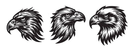 Vector illustration of dynamic eagle silhouettes, featuring expressive poses ideal for use in branding and wildlife themes.