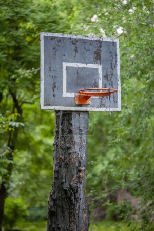 Foto de Yard aro de baloncesto en un poste - Imagen libre de derechos
