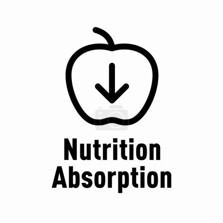 Téléchargez les photos : Signe d'information vectorielle d'absorption nutritionnelle - en image libre de droit