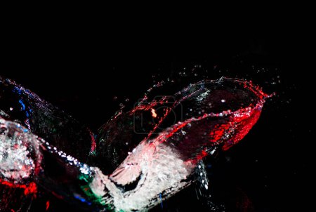 Téléchargez les photos : Éclaboussure colorée d'eau sur fond noir - en image libre de droit