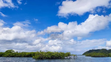 A serene, picturesque scene of the natural elements - mangroves,land, sky, and water - coming together in a peaceful, scenic vista.