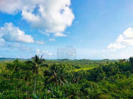 Coconut Trees View Deck in Siargao, Surigao del Norte, Philippines.