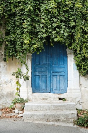 Foto de Puerta antigua en la isla griega de Creta cubierta de enredaderas en verano, arquitectura rural tradicional en Grecia - Imagen libre de derechos