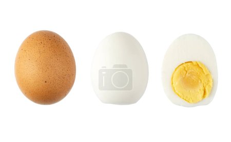 Foto de Huevo de pollo aislado sobre fondo blanco, conjunto de huevo fresco, duro y en rodajas, vista superior plana poner comida - Imagen libre de derechos