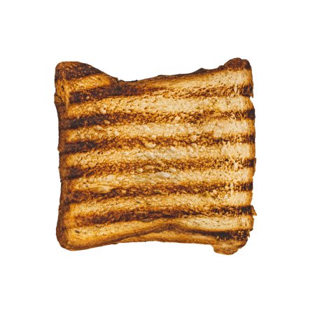 Foto de Rebanada de pan tostado quemado de grano entero aislado sobre fondo blanco, vista superior, plano poner alimentos de primer plano - Imagen libre de derechos