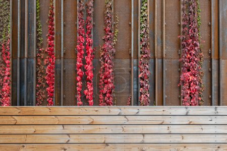 Foto de Moderna pared de construcción con metal oxidado, detalle de madera y planta de hiedra en crecimiento - Imagen libre de derechos