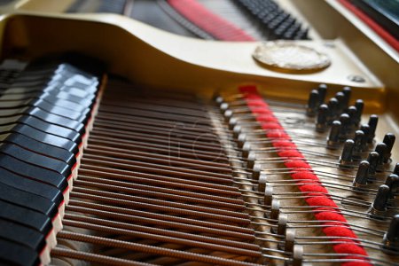 Foto de Cuerdas de piano Grand, cuerpo; clavijas y martillos Primer plano 1 - Imagen libre de derechos