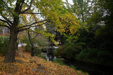 Téléchargez les photos : Avon River et Autumn Leaves le long de la terrasse Oxford dans le centre de Christchurch, Nouvelle-Zélande - en image libre de droit