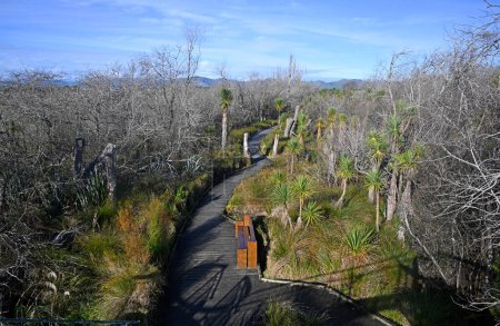Photo for Panoramic View of Travis Wetlands from the Viewing Tower looking South,Christchurch,  New Zealand - Royalty Free Image
