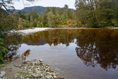 Téléchargez les photos : Amazing Brown Oparara River, causé par le lessivage naturel des plantes de Nothofagus, et les reflets de l'eau, Karamea, Nouvelle-Zélande - en image libre de droit