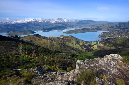 Photo for Lyttelton Harbour Winter Panorama with Snow on Mount Herbert in the background and beautiful Volcanic rocks in the foreground, Christchurch, New Zealand - Royalty Free Image
