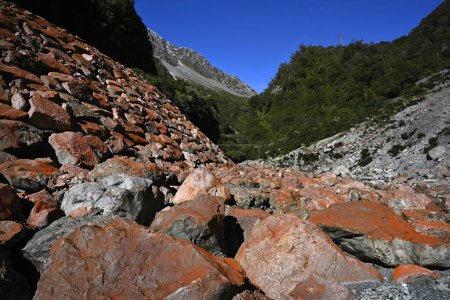 Téléchargez les photos : The Red Rocks of the Otira Gorge, Côte Ouest, Nouvelle-Zélande. Ceci est causé par l'oxyde de fer. - en image libre de droit