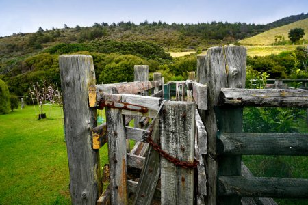 Photo for Stock Yards left from the original farm at Palmers Beach on Great Barrier Island, New Zealand. - Royalty Free Image