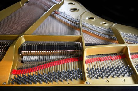 Cuerdas de piano Grand, cuerpo; clavijas y martillos Primer plano 1