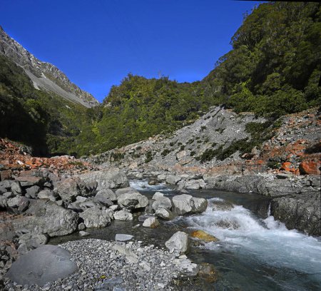 Téléchargez les photos : Les célèbres Rochers Rouges des Gorges de l'Otira et les eaux de la tête de la rivière Taramakau, Côte Ouest, Nouvelle-Zélande - en image libre de droit