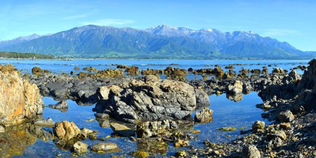Téléchargez les photos : Kaikoura Rocky Coastline and Mountains in the distance wide Panorama, New Zealand - en image libre de droit