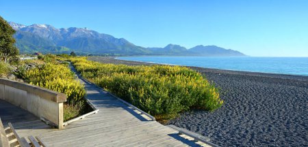 Pasarela junto al mar Kaikoura y carril bici con panaorama Lupins en plena floración, Nueva Zelanda