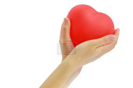 Photo for Red heart shape balloon in female hands isolated on white background, - Royalty Free Image
