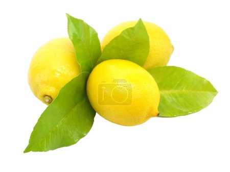 Photo for Lemons with green leaves isolated on transparent background - Royalty Free Image