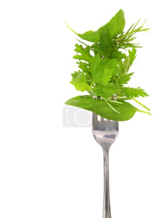 Photo for Various fresh herbs leaves on fork isolated on white transparent background, - Royalty Free Image