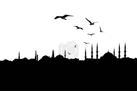 Photo for Istanbul cityscape, Turkey isolated on white transparent background - Royalty Free Image