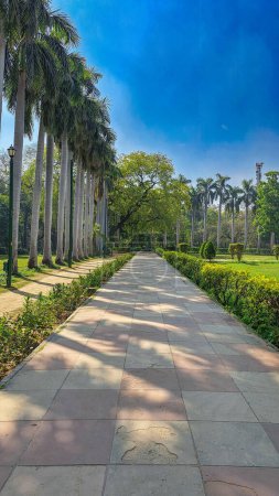 Betonweg im Lodhi Garden Park, Neu Delhi, Indien. Flankiert von üppigem Grün. Hohe Palmen. Unter strahlend blauem Himmel, sonniger Tag. Schatten, Vögel fliegen über den Köpfen.