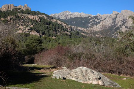 Photo for Rocks and Winter Trees in Pedriza National Park; Manzanares; Madrid; Spain - Royalty Free Image