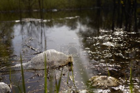 Recycelbarer Müll. Leere schmutzige Plastikflasche in Fluss oder See Umweltverschmutzung