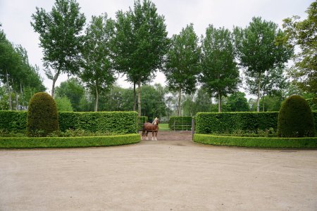 Foto de El típico caballo Brabante marrón en su entorno natural - Imagen libre de derechos