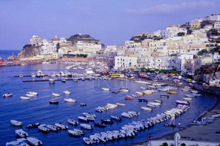 Photo for Italy, Ponza Island, panoramic view of the port (FILM SCAN) - Royalty Free Image