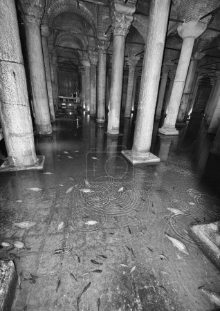 Foto de Turquía, Estambul, La Cisterna Basílica subterránea, construida por Justinianus en el siglo VI, sigue en uso y sigue siendo un importante suministro de agua dulce para la ciudad. Muchos tipos de peces viven en las aguas limpias de la cisterna - Imagen libre de derechos