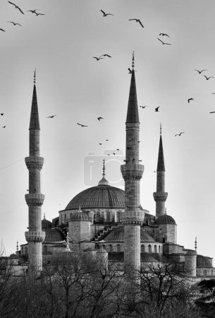 Foto de Turquía, Estambul, Mezquita Imperial Sultanahmet al atardecer, también conocida como Mezquita Azul, construida en el siglo XVII por el arquitecto Mehmet - Imagen libre de derechos