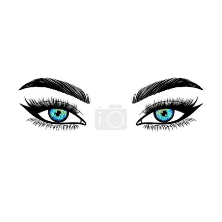 Ilustración de Ojos femeninos dibujados a mano sobre fondo blanco. - Imagen libre de derechos