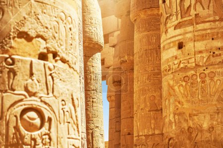 Téléchargez les photos : Image du temple Karnak à Louxor en Égypte. Photo de haute qualité - en image libre de droit