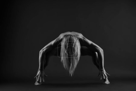 Photo for Photo of attractive athletic body of muscular female. High quality photo - Royalty Free Image