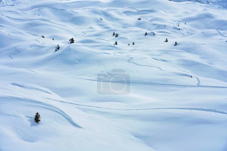 Foto de Fotos de las rutas de nieve Madonna di Campiglio. Foto de alta calidad - Imagen libre de derechos