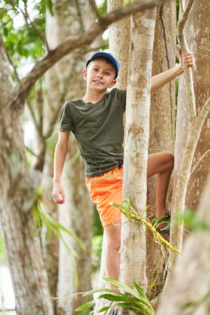 Photo of boy climbing trees in the jungle. High quality photo