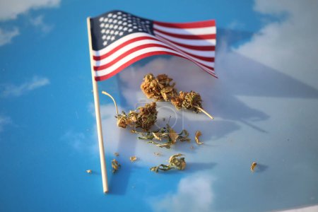 Téléchargez les photos : Marijuana. Cannabis. Medical Marijuana. Marijuana Fresh Buds and USA flag on sky background - en image libre de droit