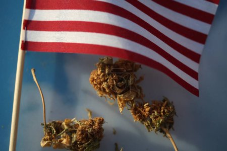 Téléchargez les photos : Marijuana. Cannabis. Medical Marijuana. Marijuana Fresh Buds and USA flag on sky background - en image libre de droit