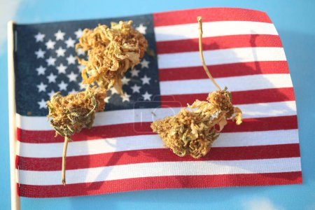 Foto de Marijuana. Cannabis. Medical Marijuana. Marijuana Fresh Buds and USA flag on sky background - Imagen libre de derechos