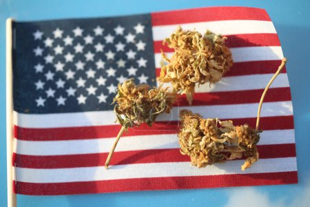 Photo for Marijuana. Cannabis. Medical Marijuana. Marijuana Fresh Buds and USA flag on sky background - Royalty Free Image