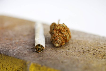 Téléchargez les photos : Marijuana. Cannabis. Medical Marijuana. Marijuana Joint  with  Fresh Buds - en image libre de droit