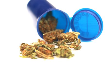 Foto de Marijuana. Cannabis. Medical Marijuana. Marijuana Fresh Buds in container isolated on white - Imagen libre de derechos