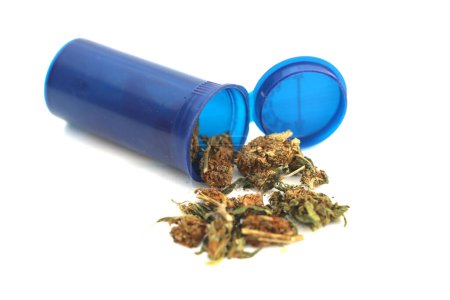 Téléchargez les photos : Marijuana. Cannabis. Medical Marijuana. Marijuana Fresh Buds in container isolated on white - en image libre de droit