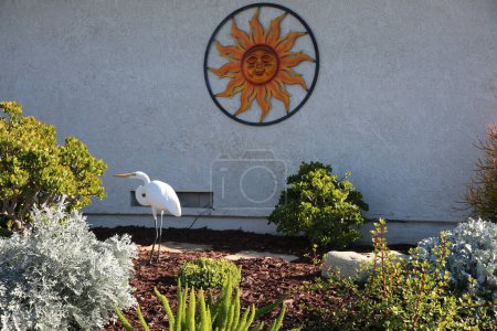 Foto de Great White Egret. A Great White Egret looks for something to eat in a neighborhood in Southern California. - Imagen libre de derechos