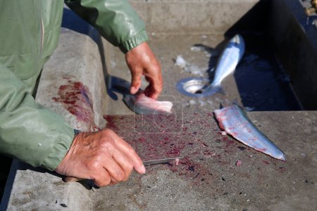 Foto de Cleaning Fish. A Fisherman cleans the fish he had caught while Fishing. Huntington Beach California Fish Cleaning. Fresh Caught Pacific Ocean Fish being cleaned for dinner. - Imagen libre de derechos