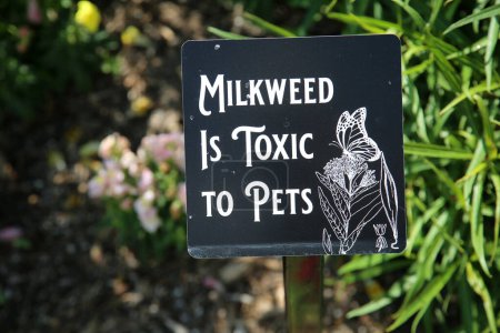 Foto de Costa Mesa, California - Estados Unidos - 3 de octubre de 2022: La marihuana es tóxica para las mascotas. Señal de advertencia en un jardín con plantas de Milkweed para mariposas e insectos polinizadores advirtiendo sobre la intoxicación por Milkweed. - Imagen libre de derechos