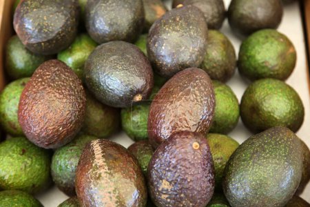 Photo for Fresh ripe avocados top view - Royalty Free Image